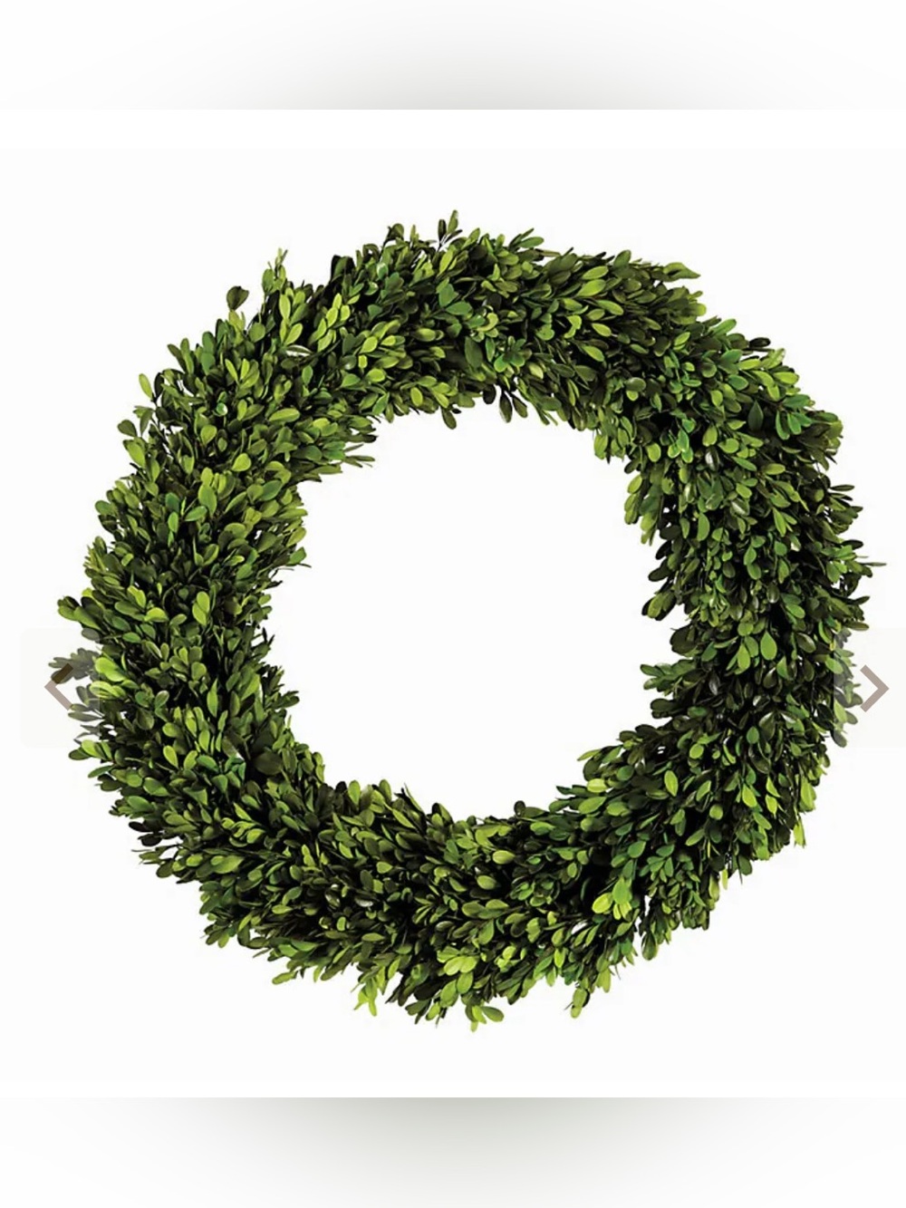 BALLARD DESIGN Classic Green Boxwood Wreath - Interior Decorative Accent